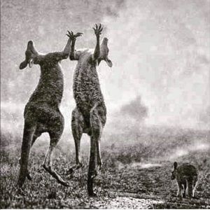 Meet your Posher, Denae